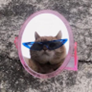 Meet your Posher, Isabel